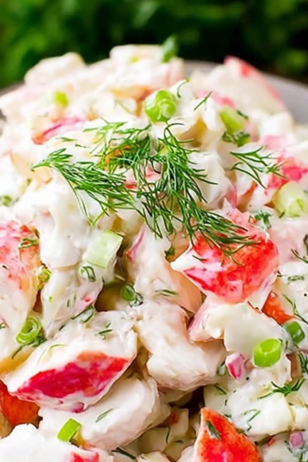 Crab Salad Recipe