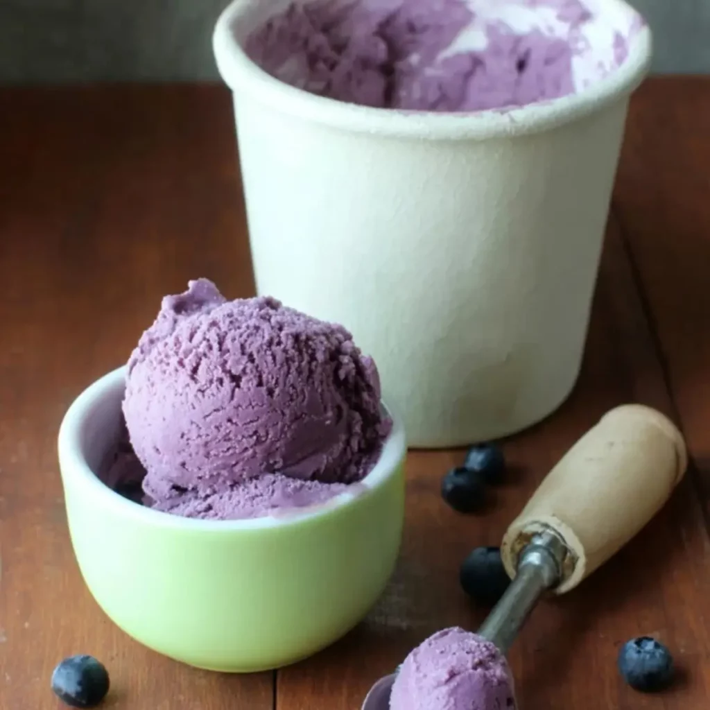 Homemade Blueberry Ice Cream