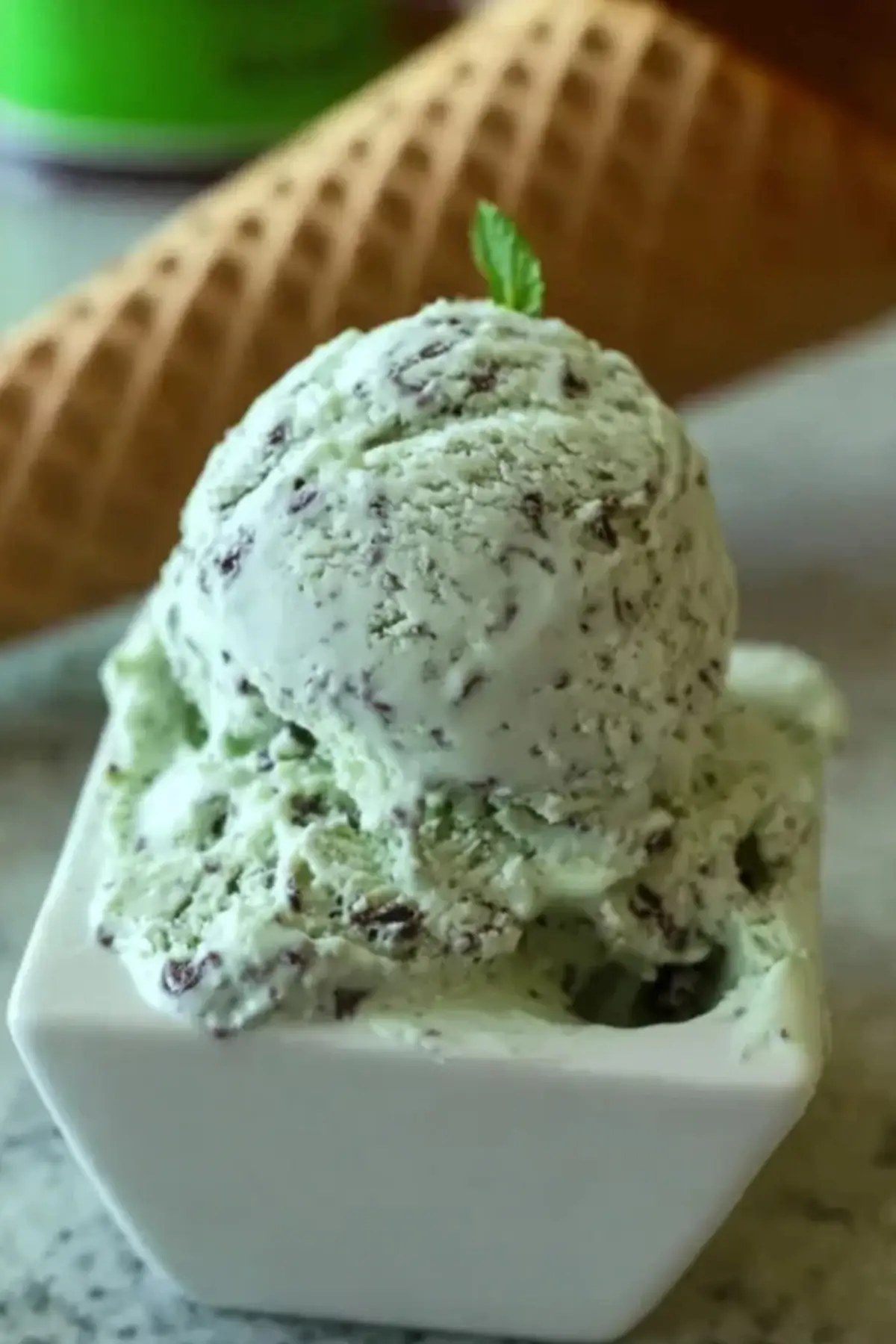 Mint Chocolate Chip Ice Cream