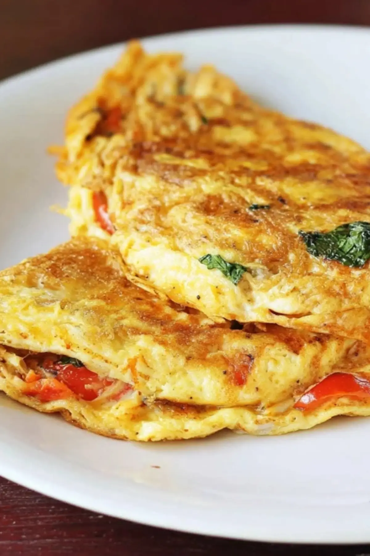Mozzarella Cheese Omelette