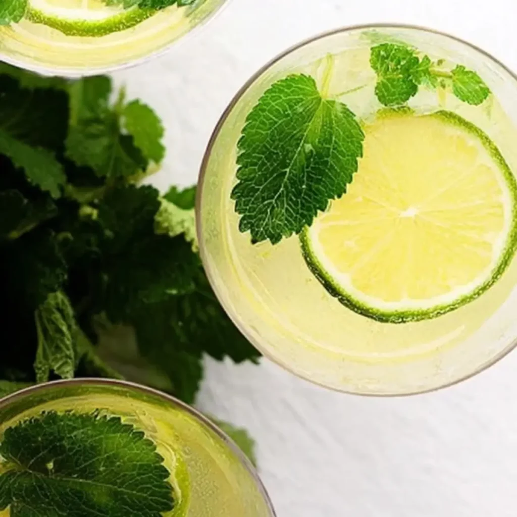 lemon balm recipes