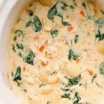 Crockpot Chicken Gnocchi Soup