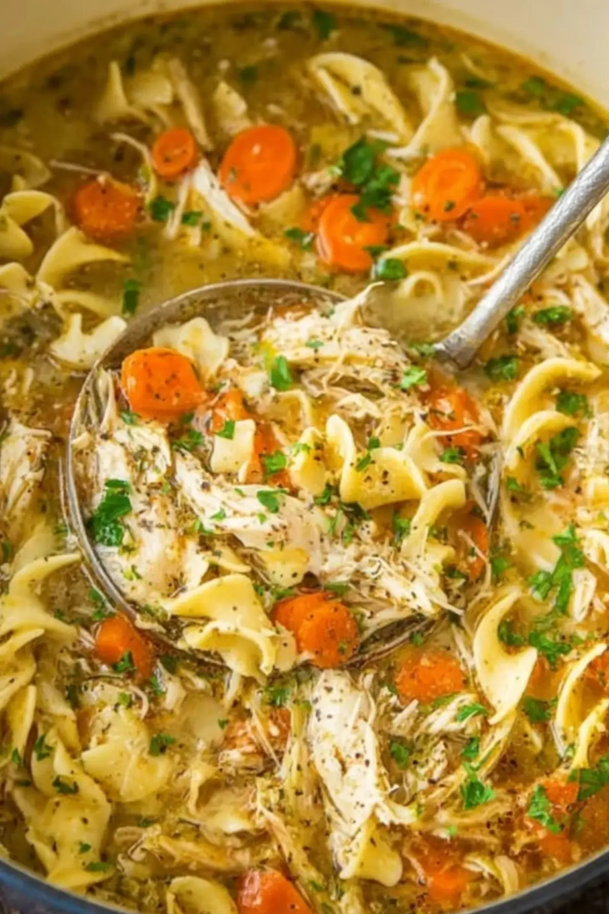 Chicken Noodle Soup with Egg Noodles