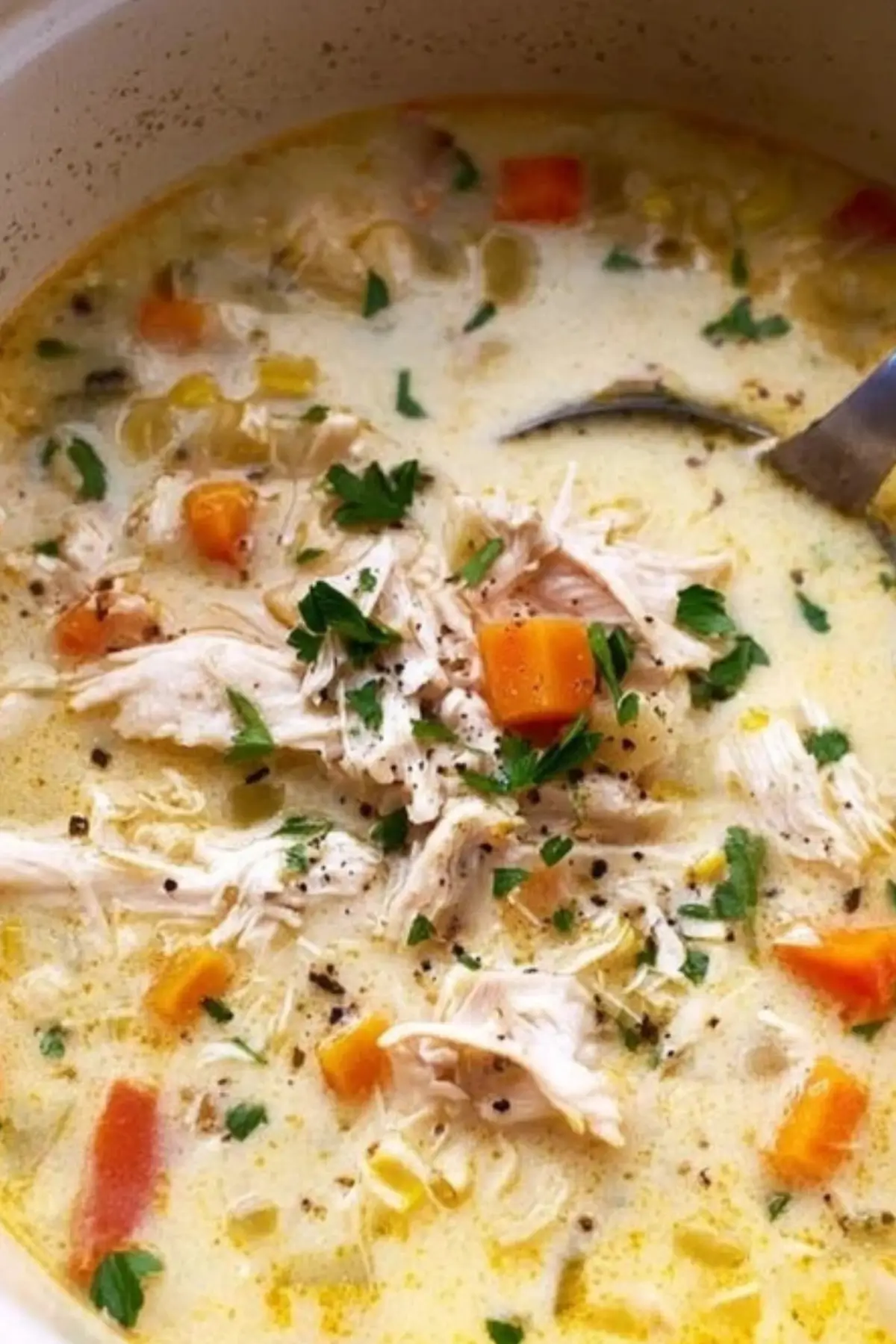 Creamy Chicken Vegetable Soup