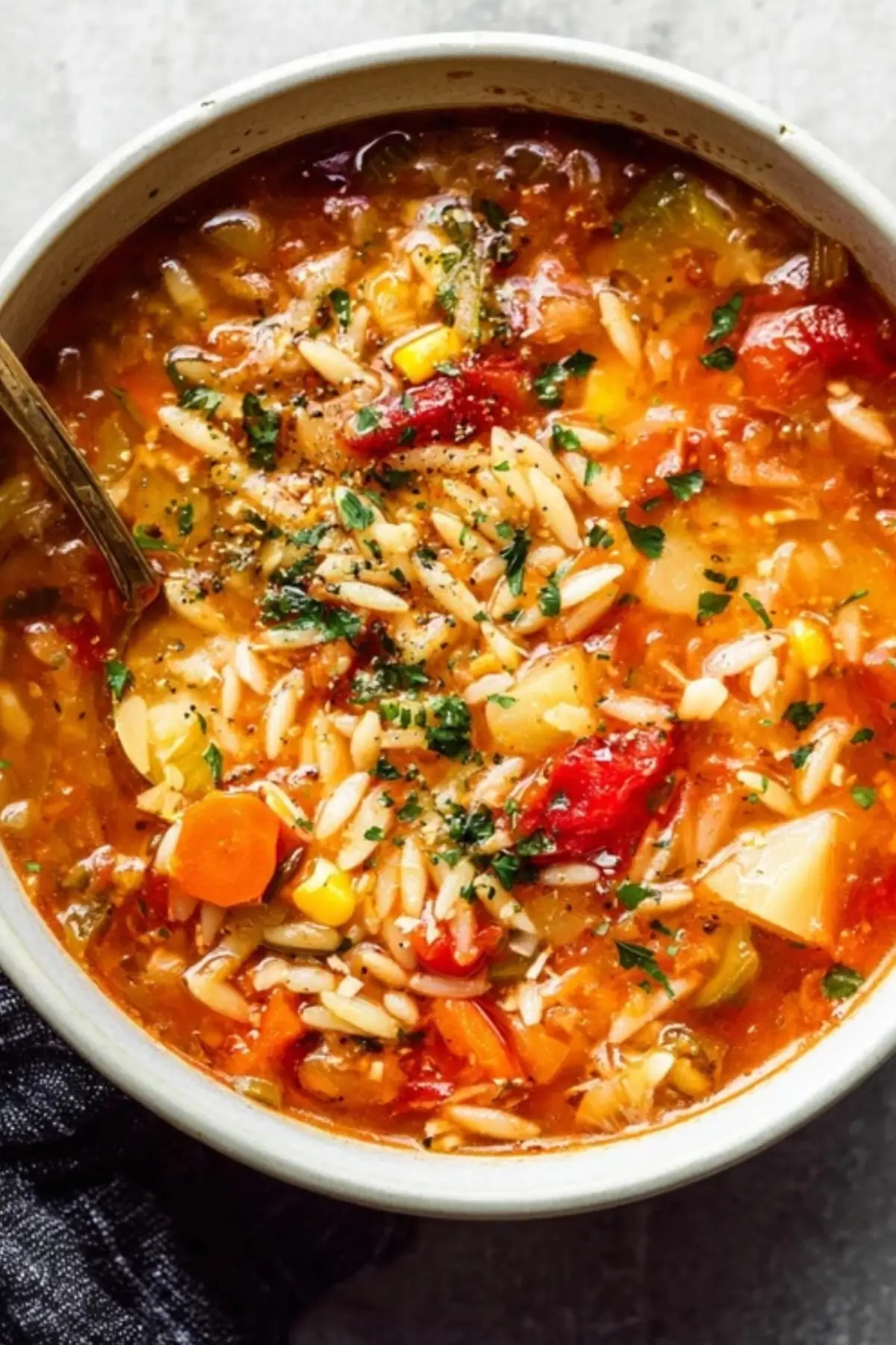 Vegetable Orzo Soup