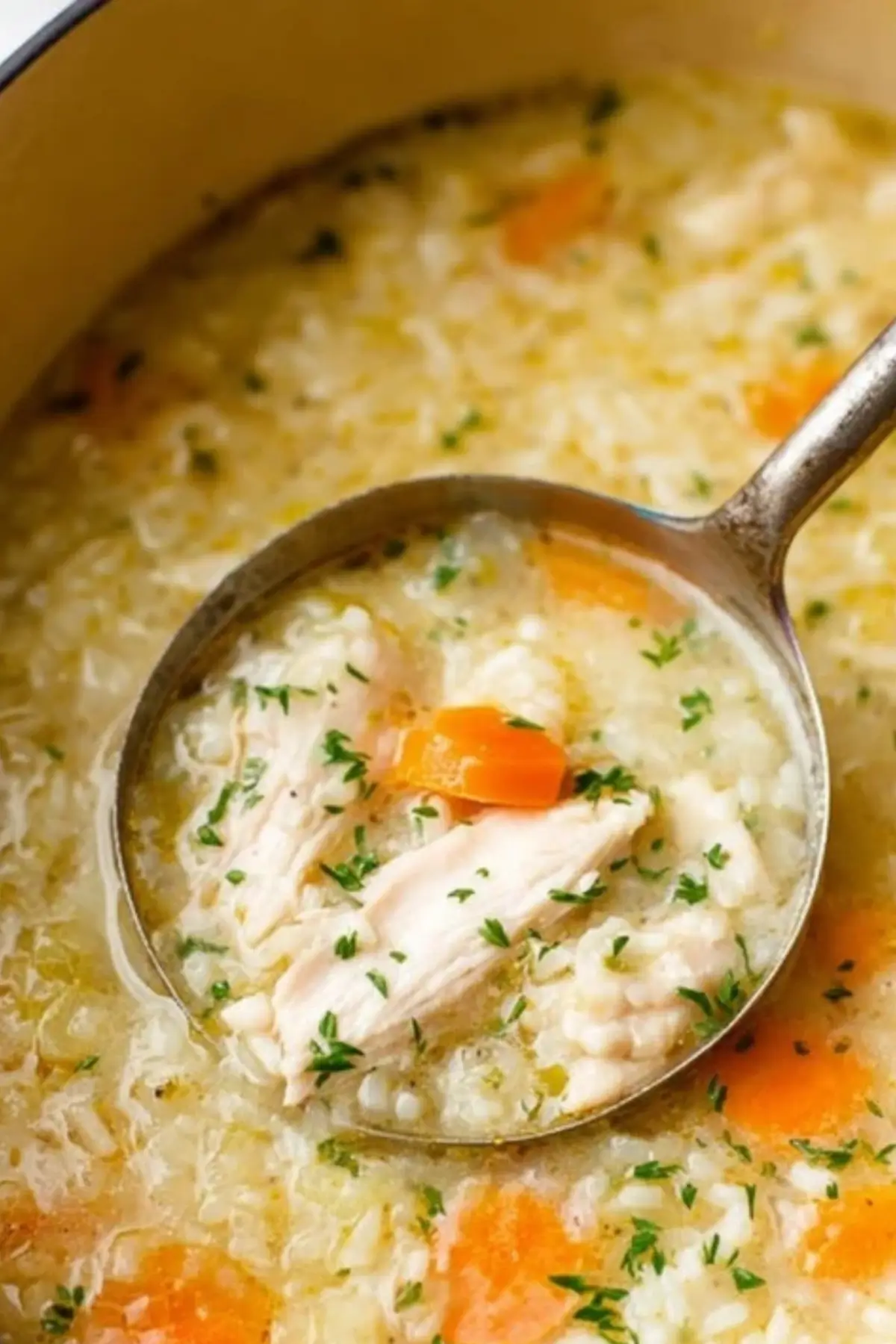 Chicken and Rice Soup