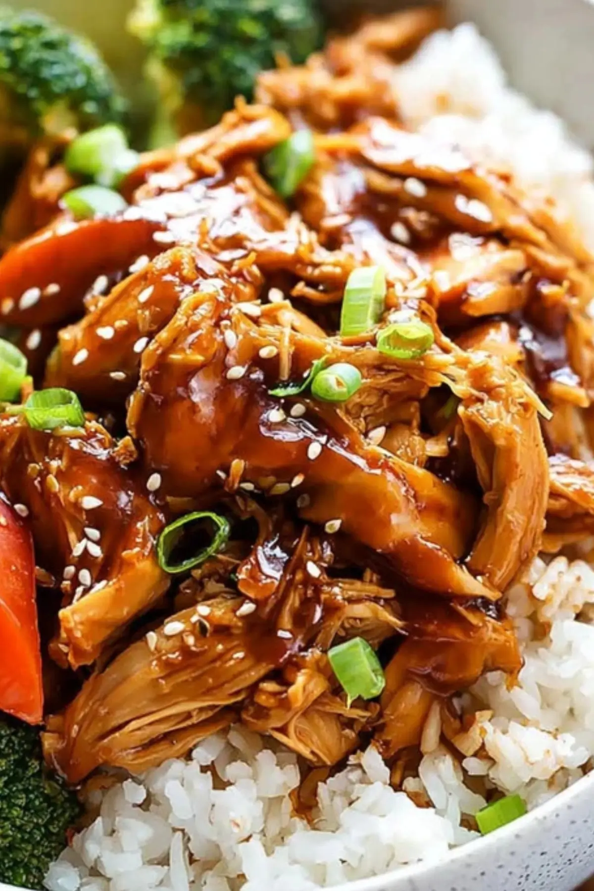 Crock Pot Teriyaki Chicken