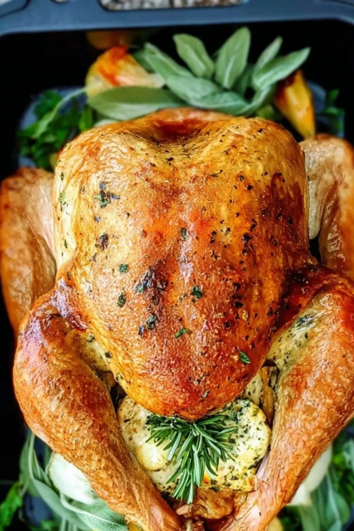 Garlic Herb Butter Thanksgiving Turkey