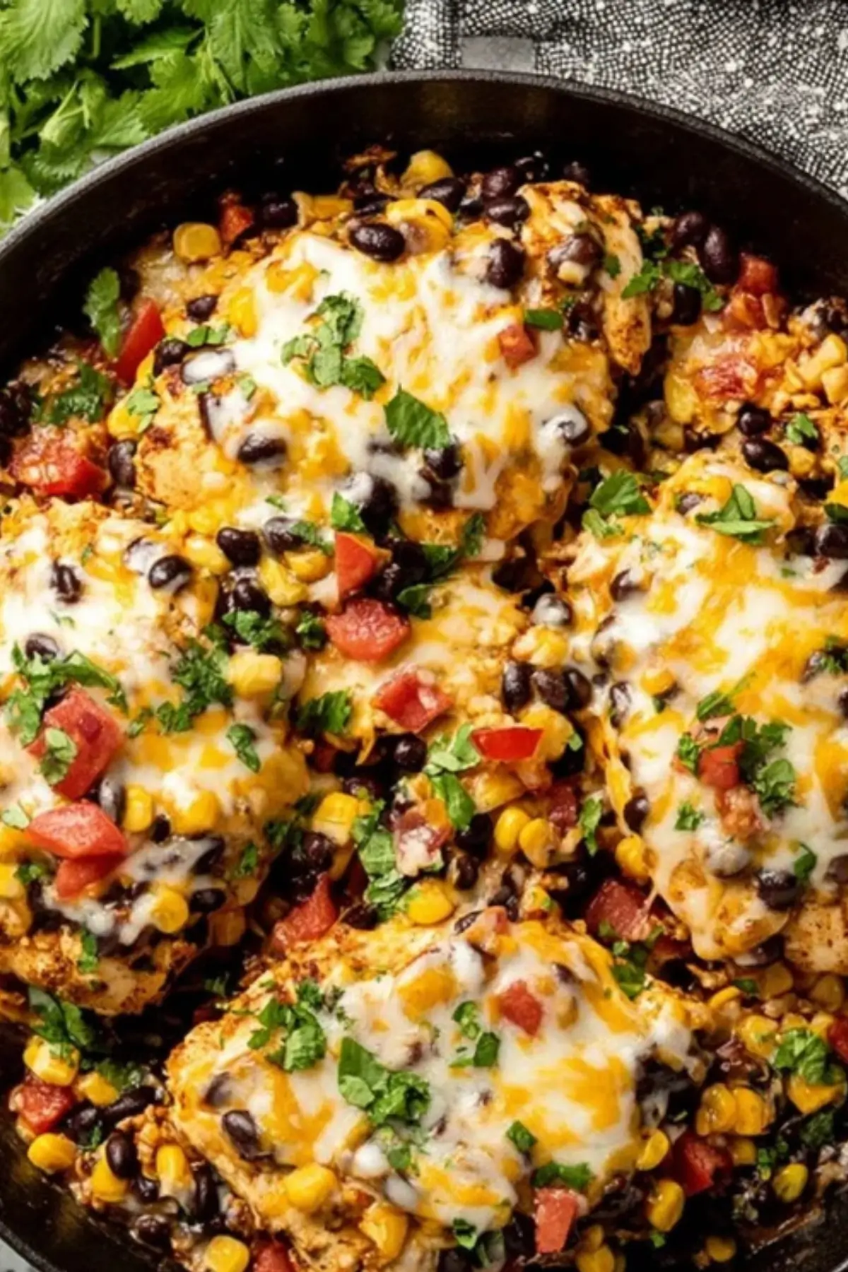 Santa Fe Chicken Skillet