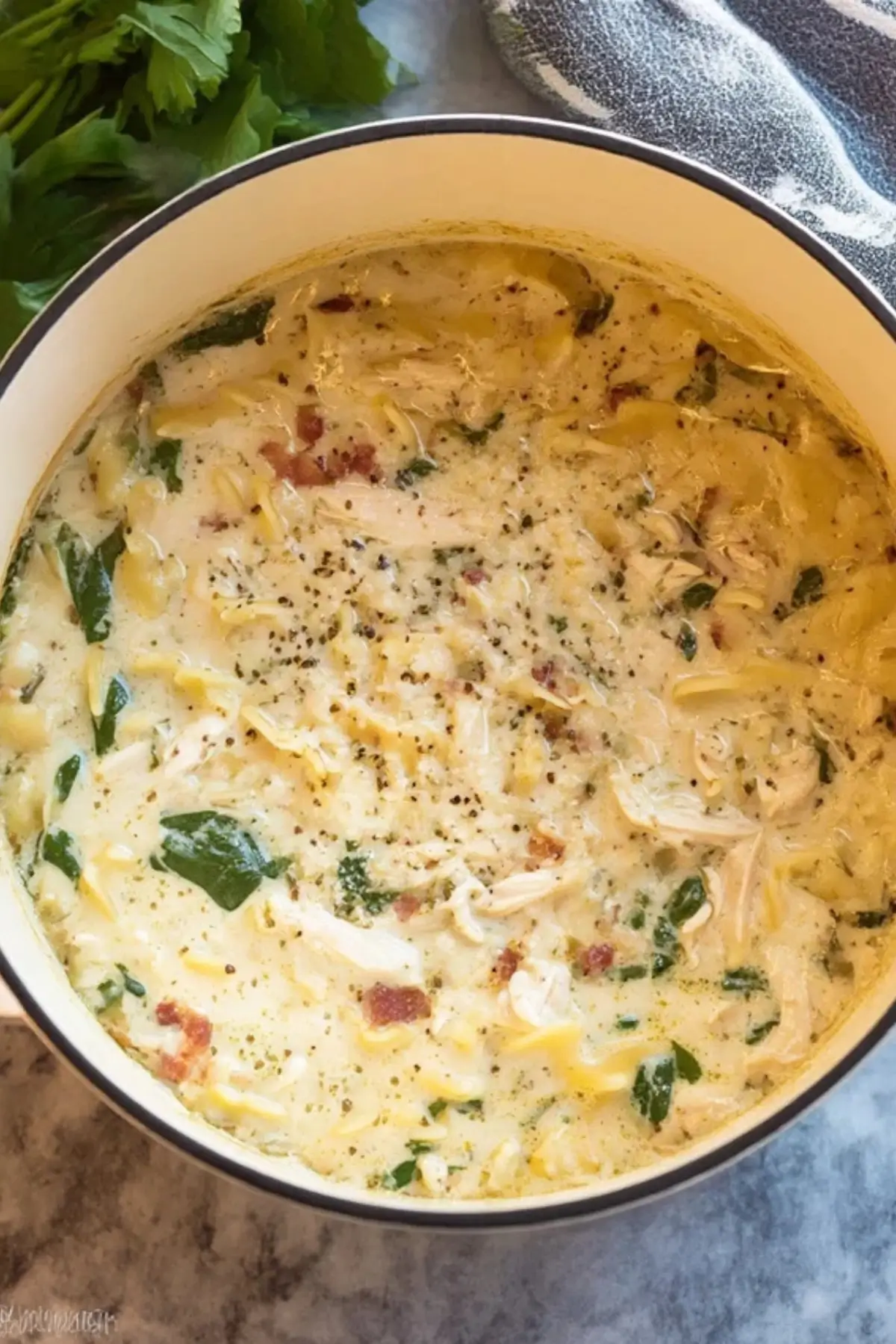White Chicken Lasagna Soup