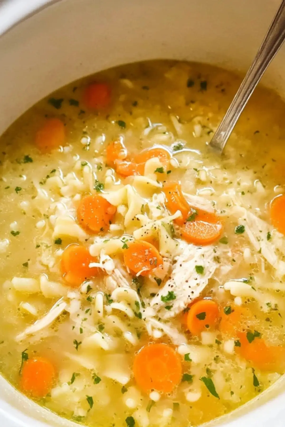 Crockpot Chicken Noodle Soup
