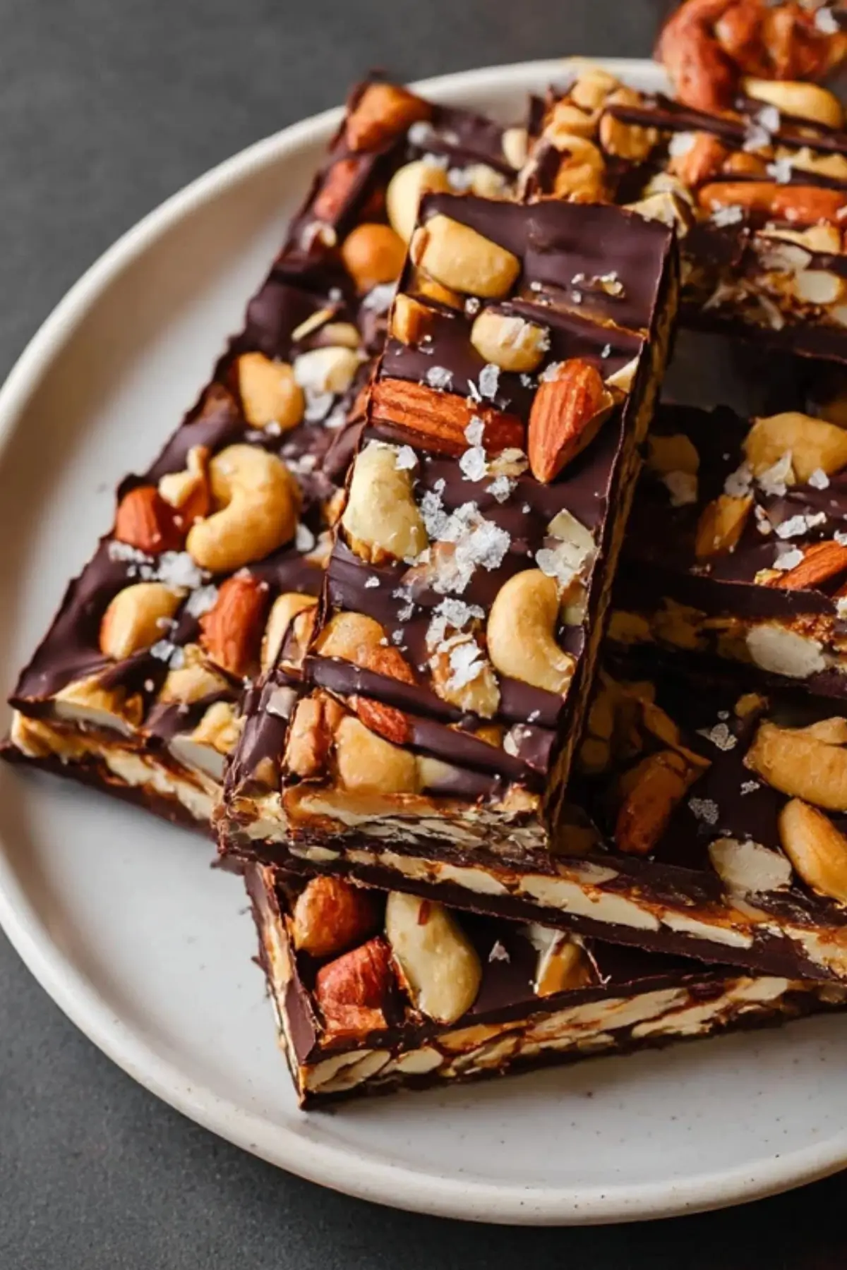 Dark Chocolate and Sea Salt Nut Bars