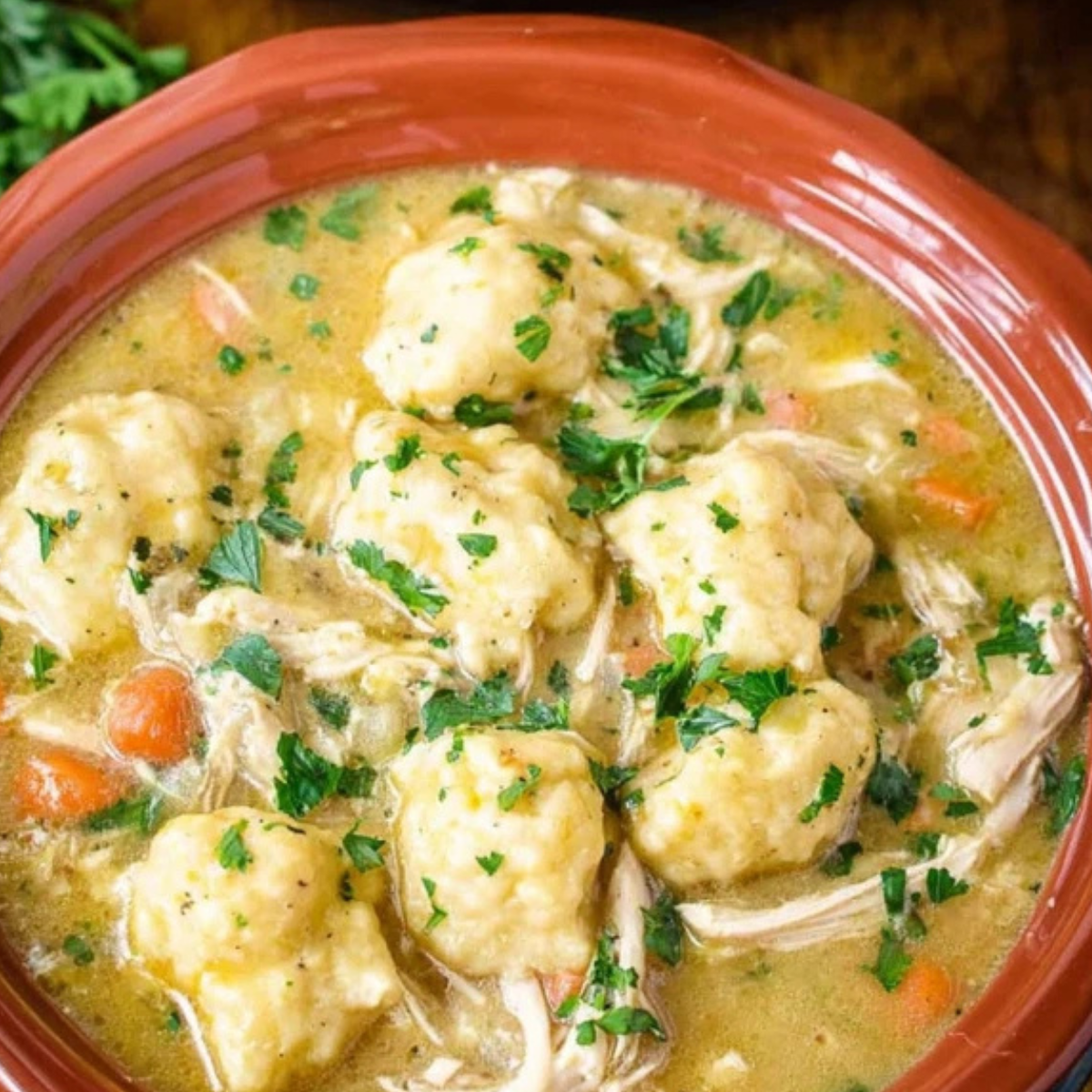 Crock Pot Chicken and Dumplings