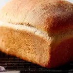 Whole Wheat Bread