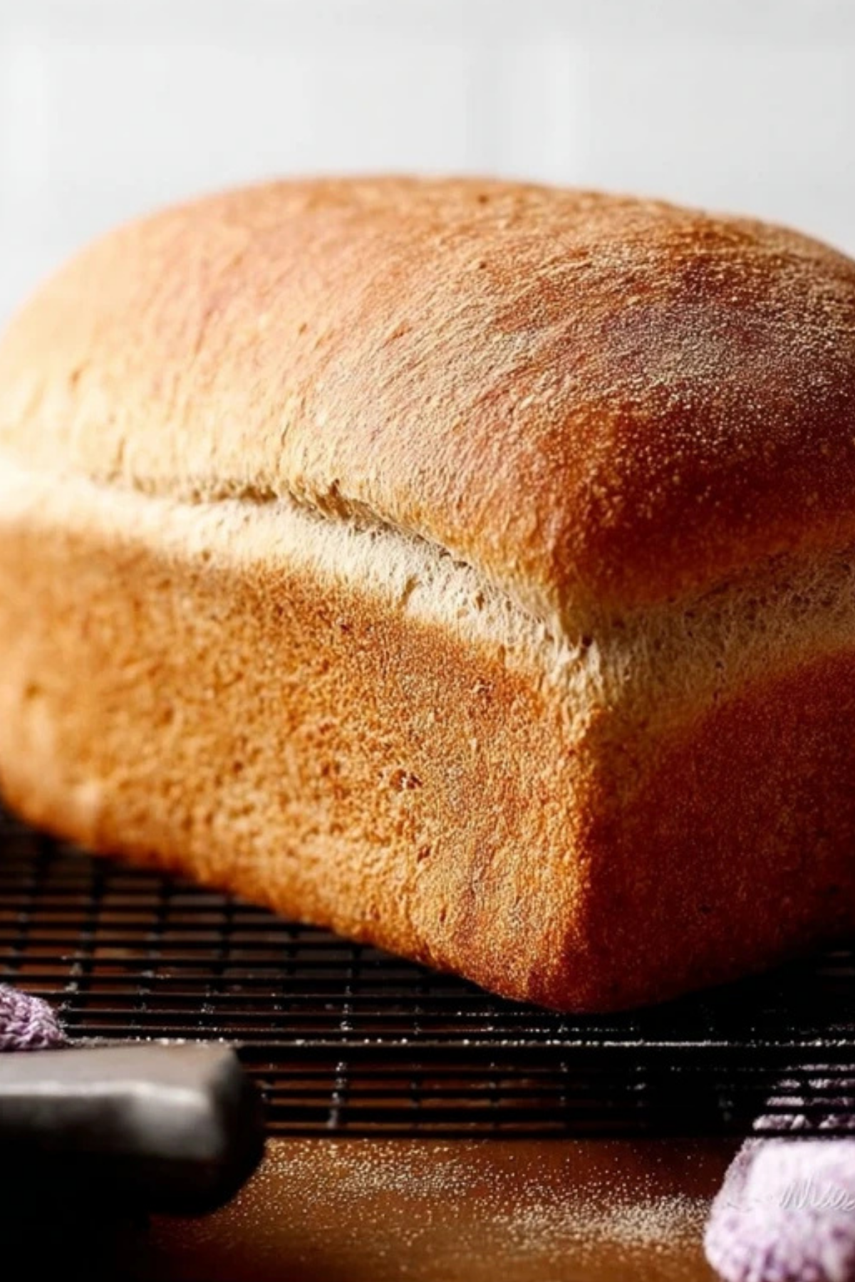 Whole Wheat Bread