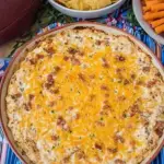 Warm Crack Chicken Dip