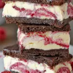 Brownie Raspberry Swirl Ice Cream Sandwiches with chocolate and raspberry swirl
