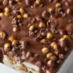 Buster Bar Ice Cream Cake with chocolate fudge and peanuts